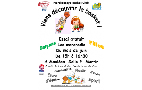A la découverte du Basket